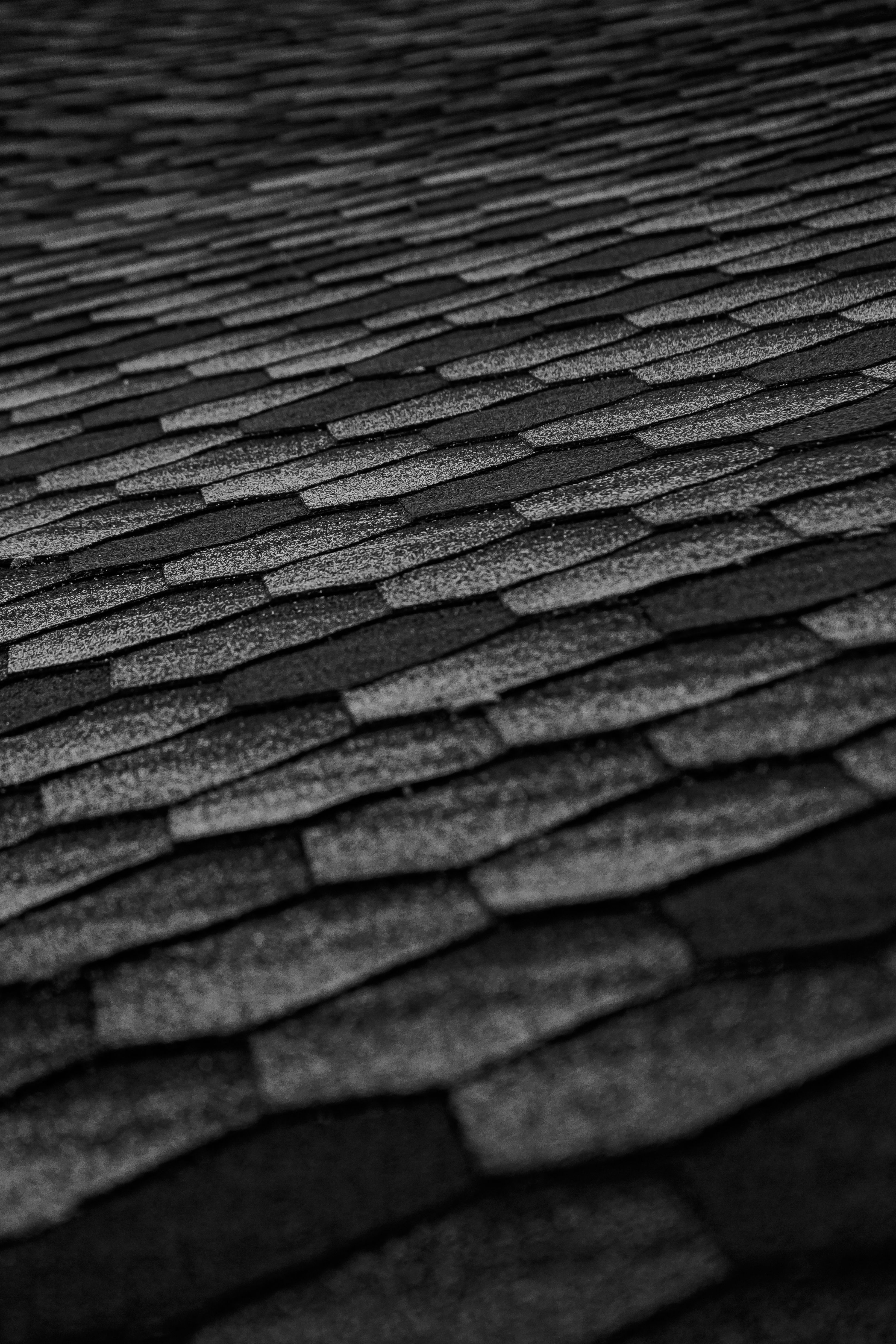 Construction team working on roofing project